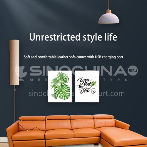 ZF-8001 Modern minimalist living room functional sofa with USB switch